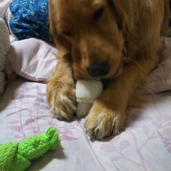 「お休みなのに」サムネイル2