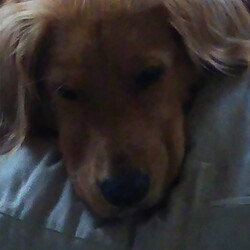 「お休みなのに」サムネイル3