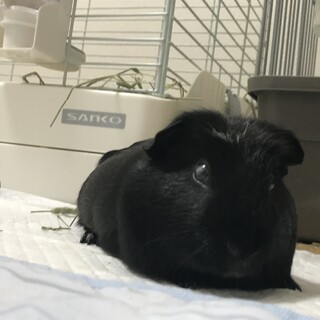 1度ストップさせていただきます