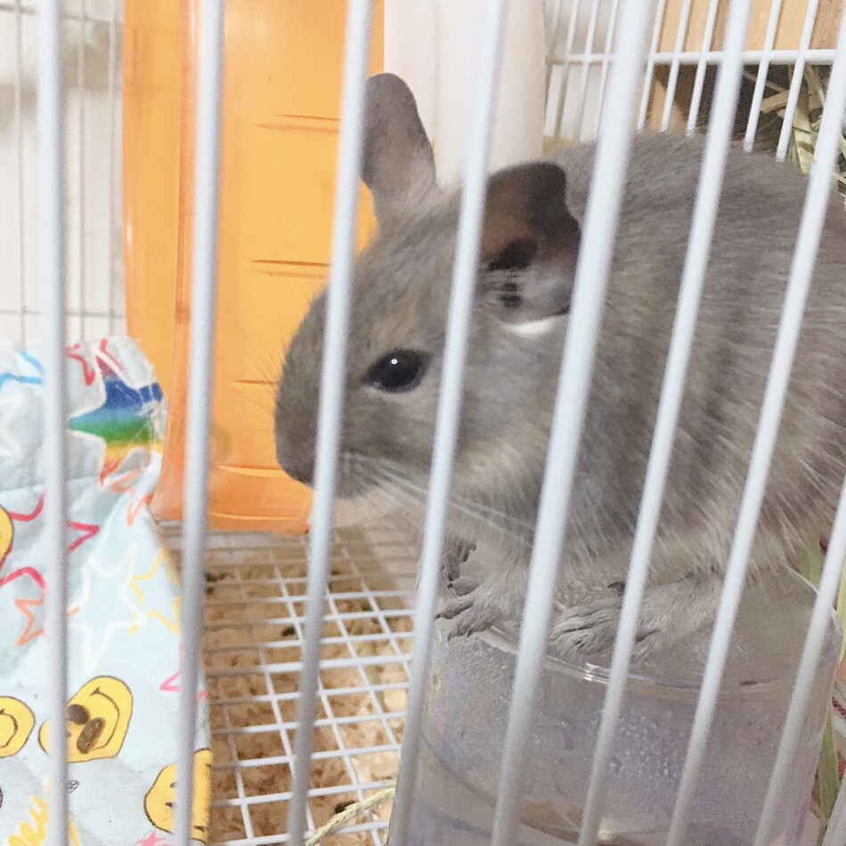 なつのカバー写真