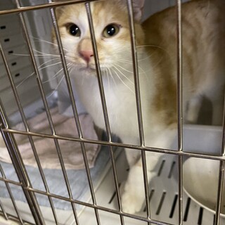 可愛い人馴れバッチリの男の子