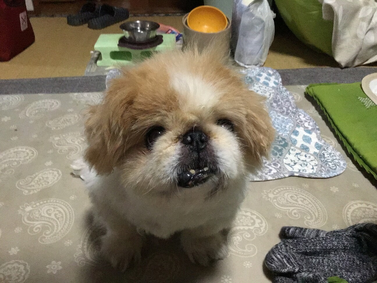 ピカソ