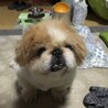 ピカソ
