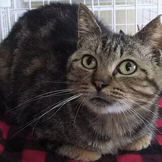 人が大好きラムちゃんです♪