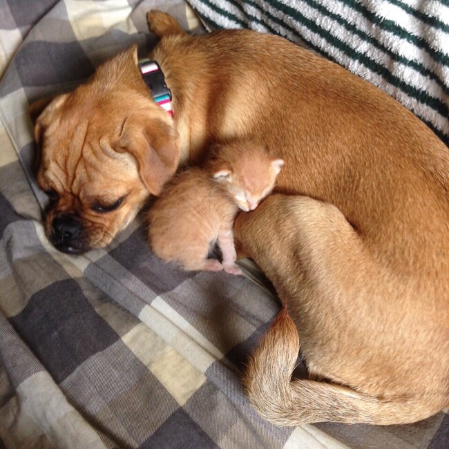 RioKのカバー写真