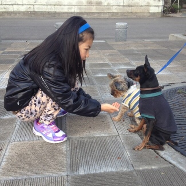 Banbi3のカバー写真