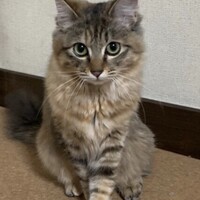 うに