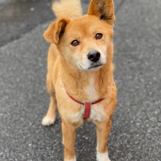 今度こそ幸せになりたい女の子