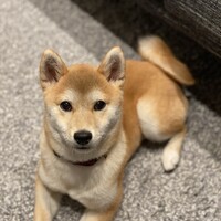 ミリ