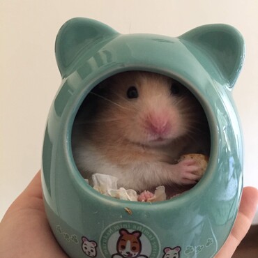 カメラ目線(≧∀≦)