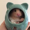カメラ目線(≧∀≦)