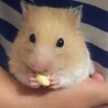 お豆大好き♡