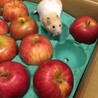 全部ボクのかなぁ〜♡