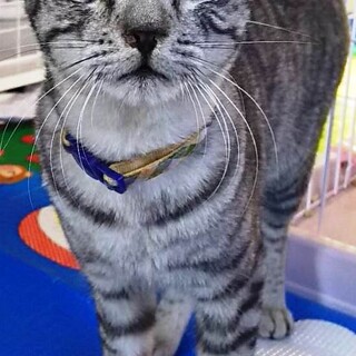 スラッと細身なイケメンBoy！