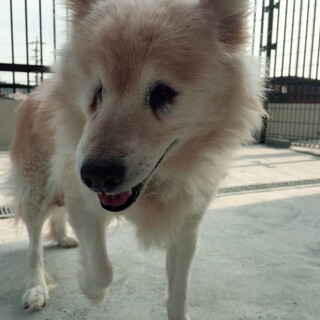 20歳　まだまだ元気　Ｑちゃん