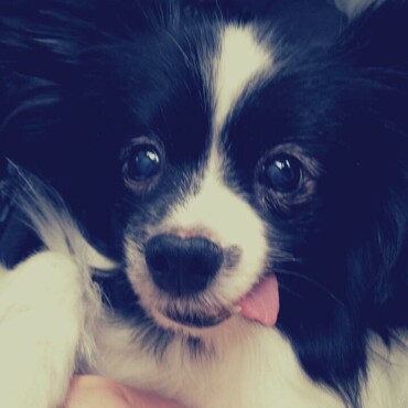 歯が抜けてべろがでっぱなしちゃん♡