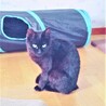 グリーンアイズの黒猫さん❣ サムネイル4
