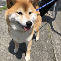 坂田コタロウ