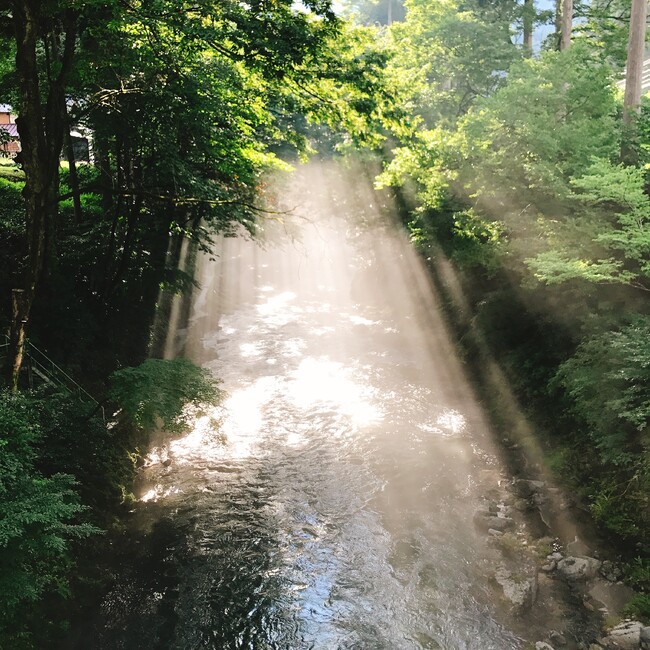 椎子のカバー写真