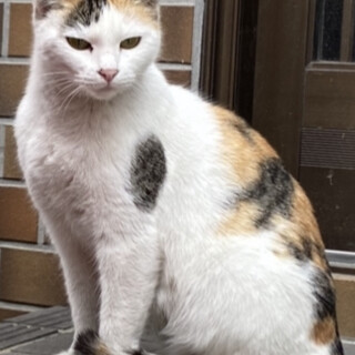 突然の旅立ちでした。