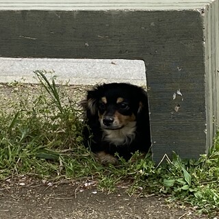 募集中止中！！公園に遺棄