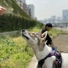 の写真
