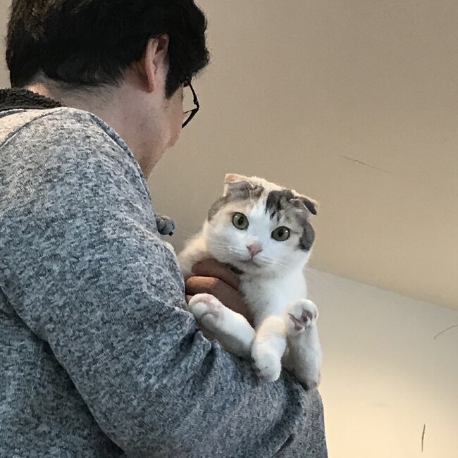 よつばとふうかのカバー写真