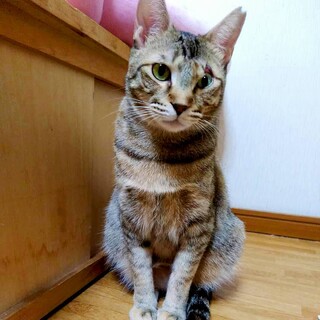 いつもハッピーぴかぴか明るくて優しい真知子❤