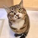 まん丸お顔のすばるくん(^^)