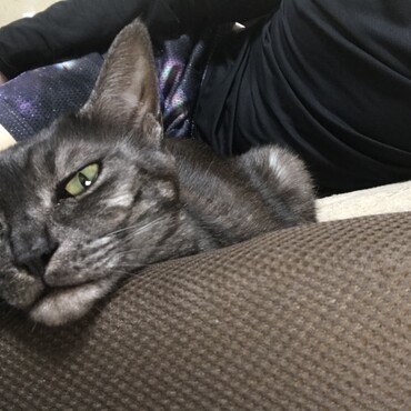 の写真