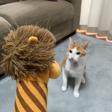 の写真