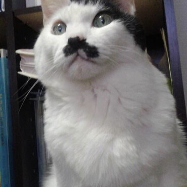 の写真