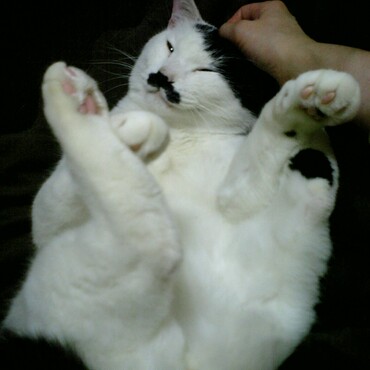 の写真