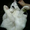 の写真