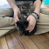 ごまうめゆず