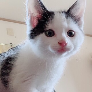 交渉中のため新規応募受付停止中