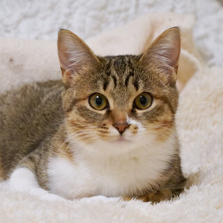 新たなご家族ができました♡