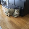 の写真