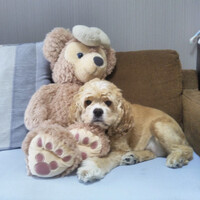 エカチェリーナ