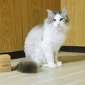 応募者様多数の為一度募集を終了いたします。