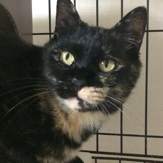 皆に元気を分けてくれる ♪ シナモン