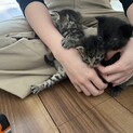 沢山の連絡有難う御座いました。