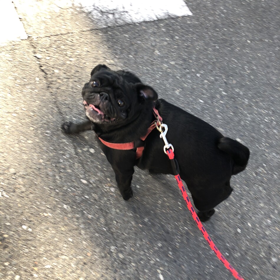 くらのカバー写真