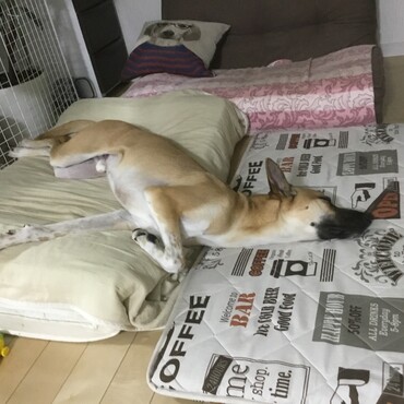 の写真
