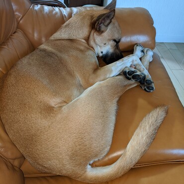 の写真