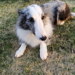 ビビリだけど人は好きな女の子４～５歳