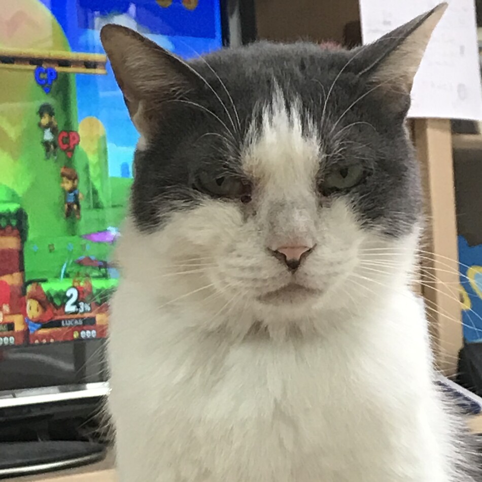 ほっけのカバー写真