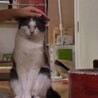 おきなきなさん