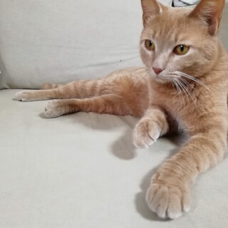 人が大好き！ずっと一緒にいたい甘えん坊男子２歳