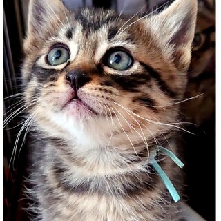 好奇心いっぱいなジン君